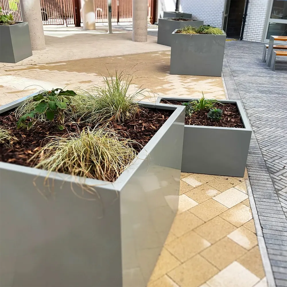 Box planters